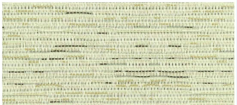 Foam Coated BO-222 catalogue image